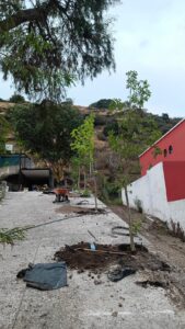 WhatsApp Image 2026-02-07 at 2.24.43 PM